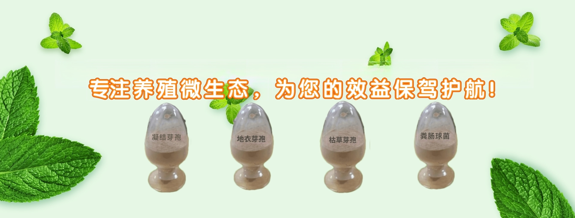 饲料酵母banner
